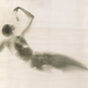 Illustration for article titled Hybrid X-ray images of bird people and octopus women